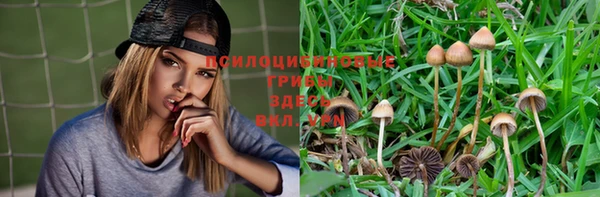гашиш Аркадак