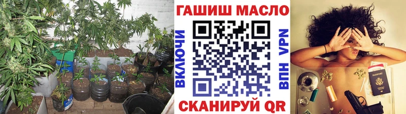 как найти закладки  Ахтубинск  ТГК гашишное масло 