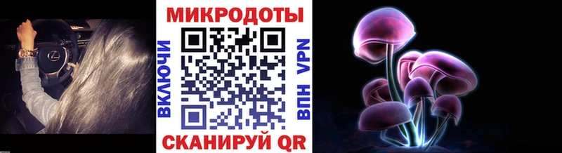 купить   Ахтубинск  Псилоцибиновые грибы Cubensis 